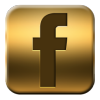 Image result for facebook gold logo